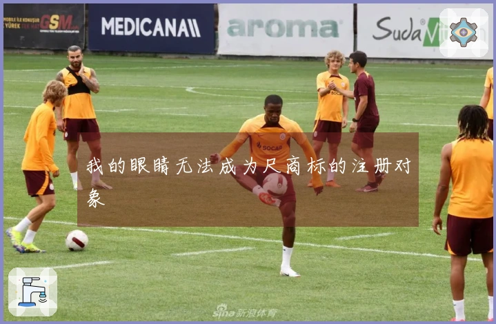 我的眼睛无法成为尺商标的注册对象