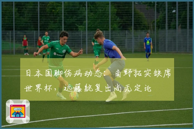 日本国脚伤病动态：南野拓实缺席世界杯，远藤航复出尚无定论